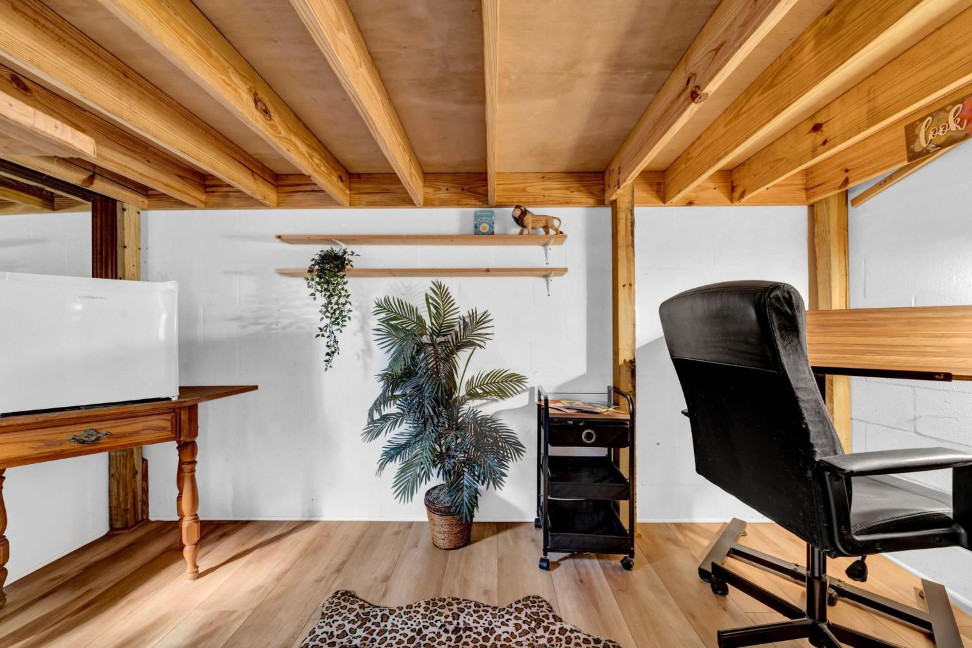 Zen Jungle House By Busch Gardens Sleeps 12 With Outdoor Games & Detached Play Space! Tampa Exteriér fotografie